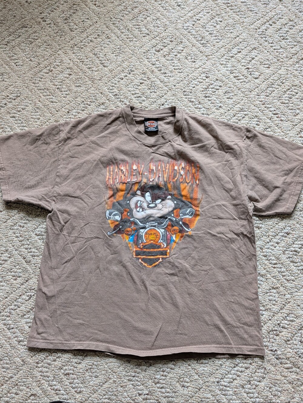Vintage '90s 3D Emblem Harley Davidson Looney Tunes Taz Biker Made in USA Vtg